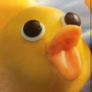 Meet your Posher, Ducky